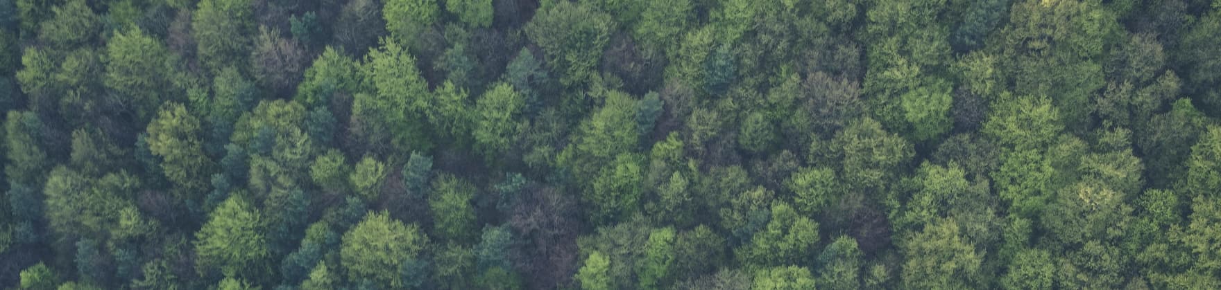 Nachhaltigkeit – Übersicht