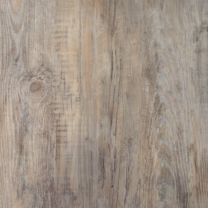 026014601-asteiche-weiss-dek-10a1