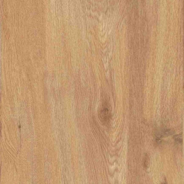 026014776-eiche-vogelsberg-dek-10a2