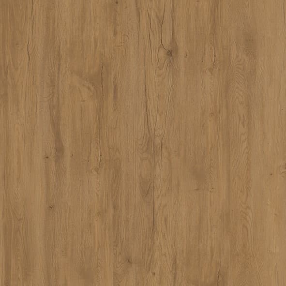 026014778-eiche-erzgebirge-dek-10a0