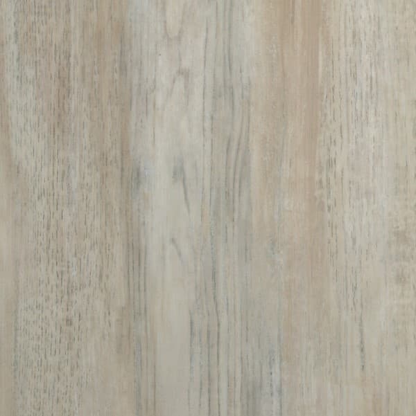 026050003-erle-jesolo-dek-10a5